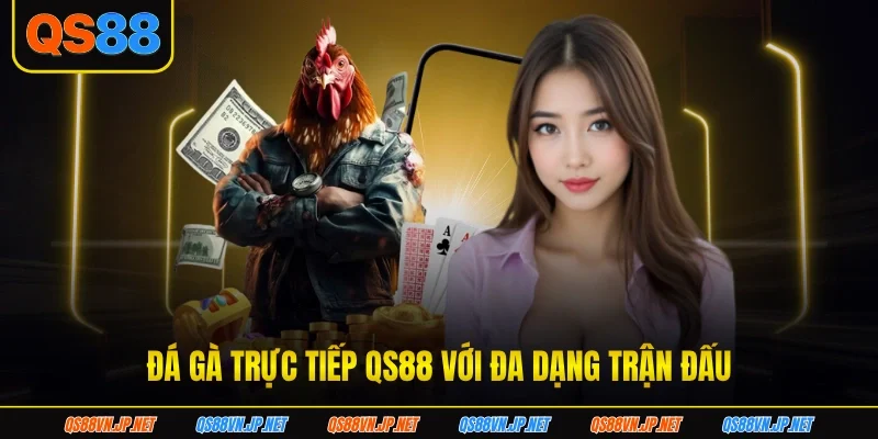 Đá gà trực tiếp QS88 với đa dạng trận đấu